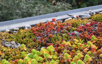 the cost of Aughnacloy green roof installation