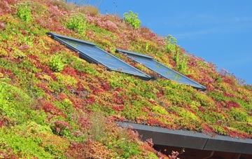 Aughnacloy living roof systems